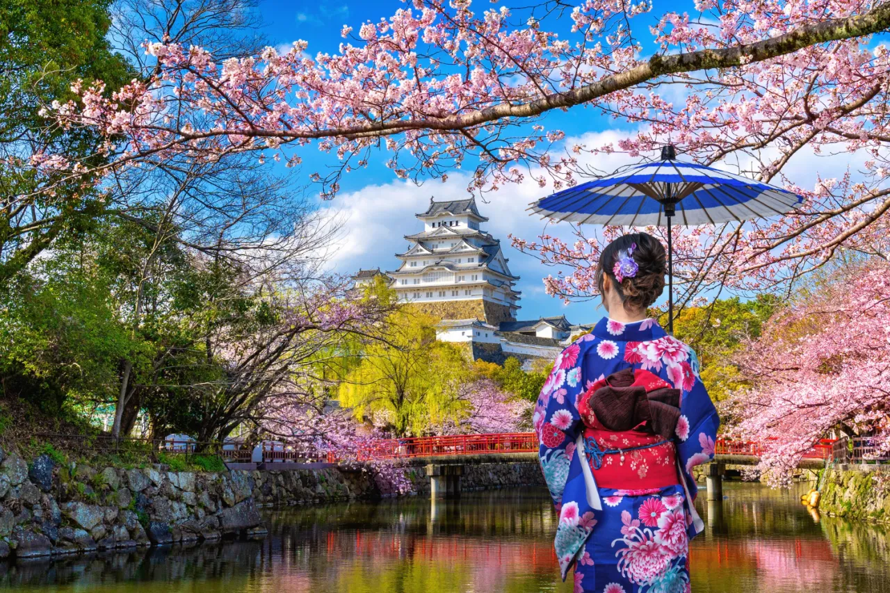 Mega Japón
