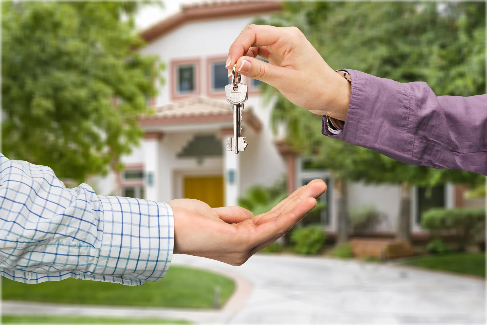 Residencias Premium